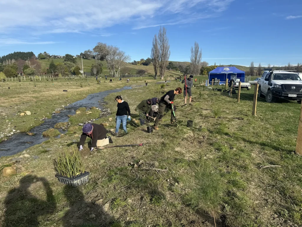 Ahuriri-Tributaries-Catchment Whareangi-project